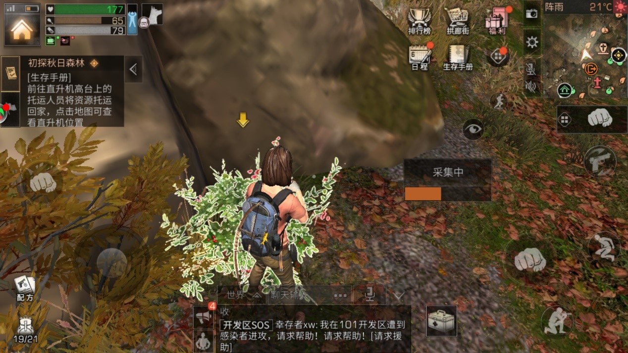 明日之后去哪采集食物？在哪里能采集到食物截图