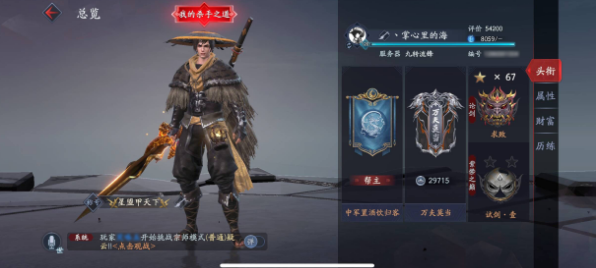 《流星蝴蝶剑》满级第一人：小怪把我打自闭了截图