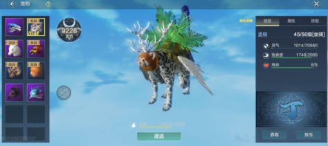 妄想山海最强宠物榜单合集 妄想山海最强宠物盘点截图