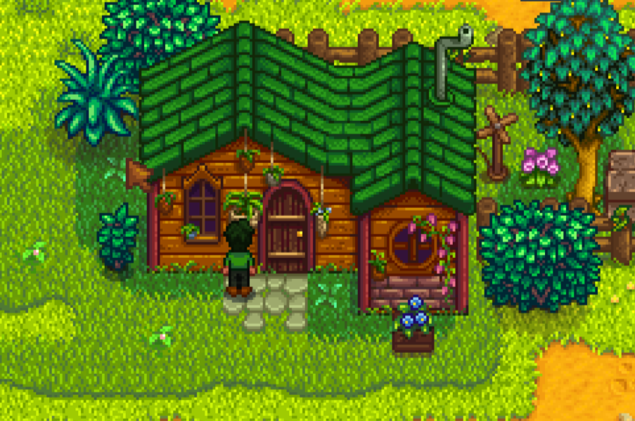 星露谷物语莉亚夏季日程教程 莉亚夏季在哪里截图