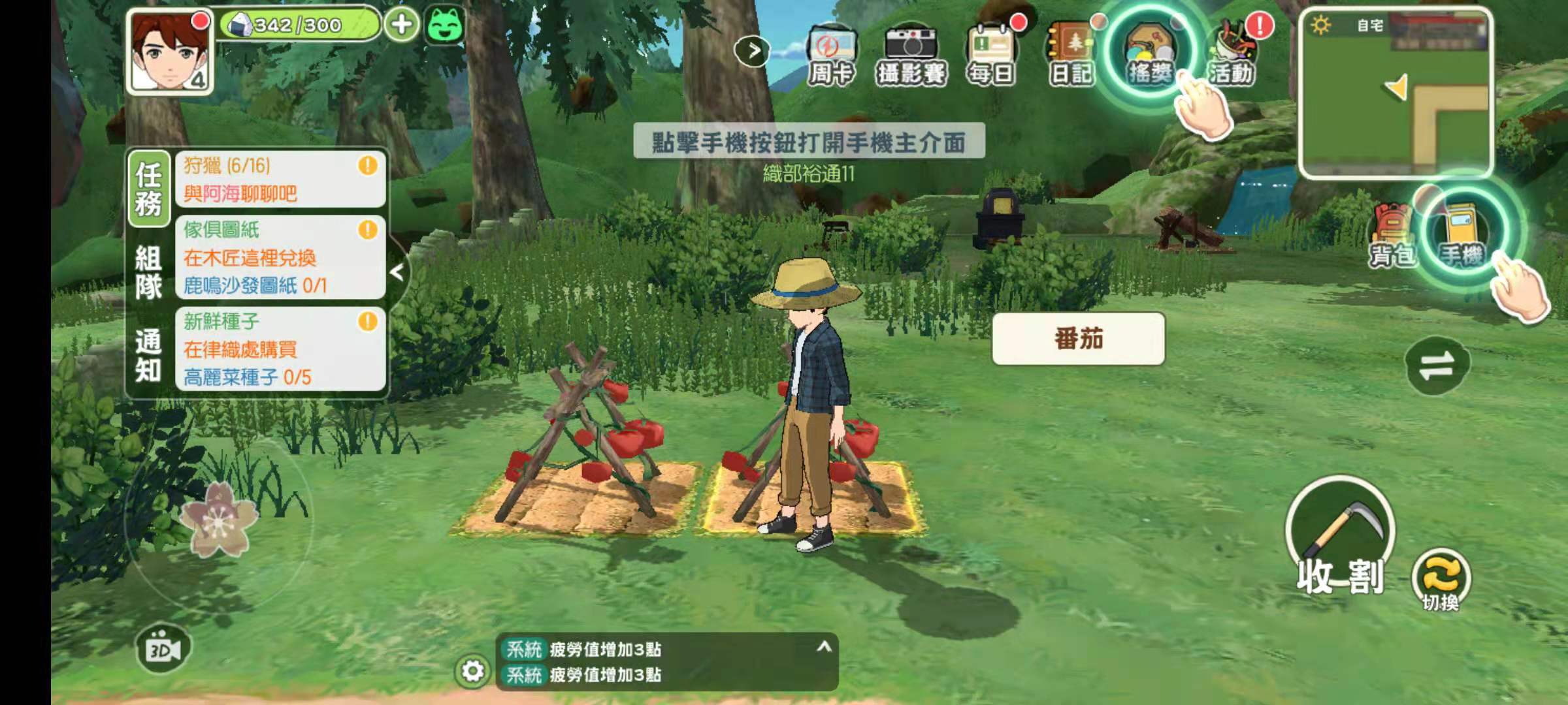小森生活怎么种番茄 番茄的种植方法截图