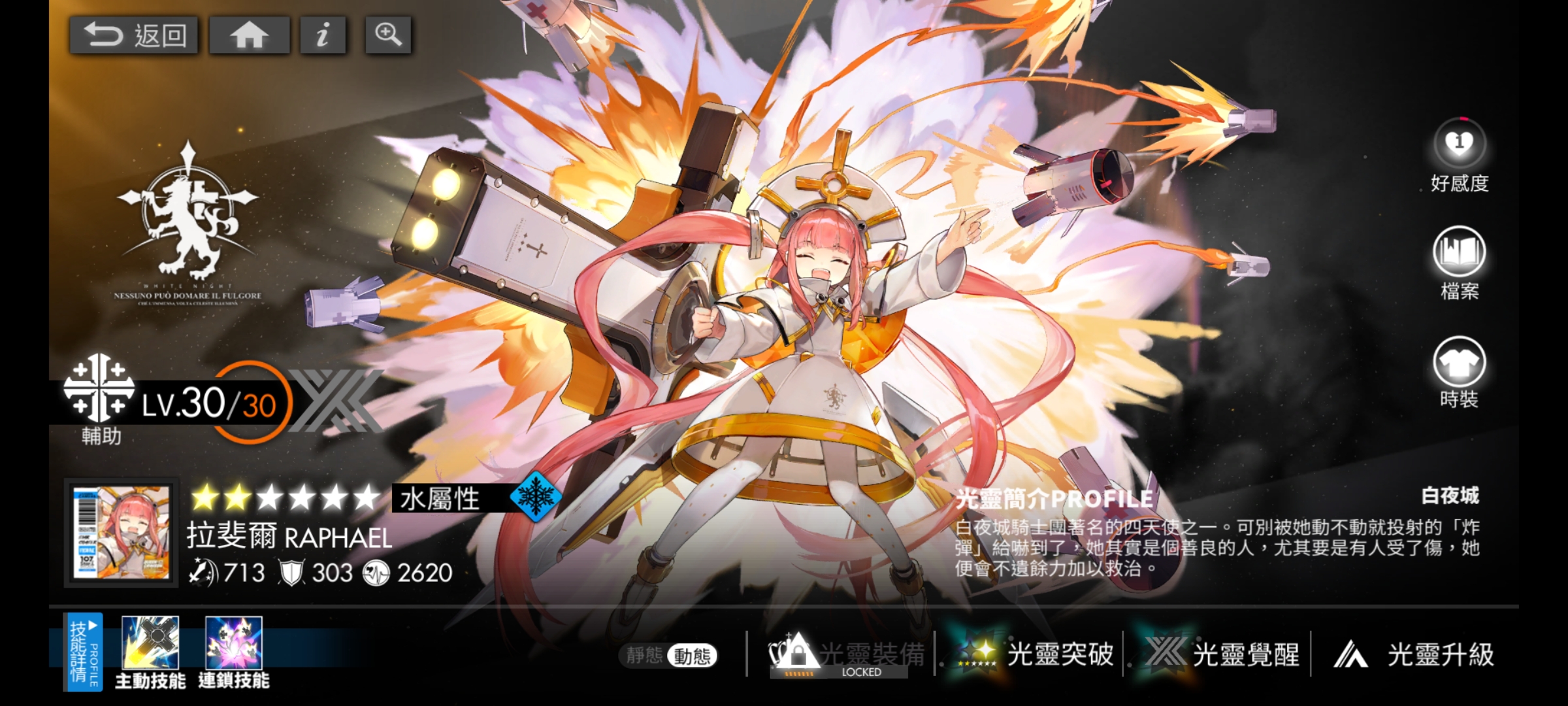 白夜极光都有哪几款奶妈 白夜极光奶妈指引截图