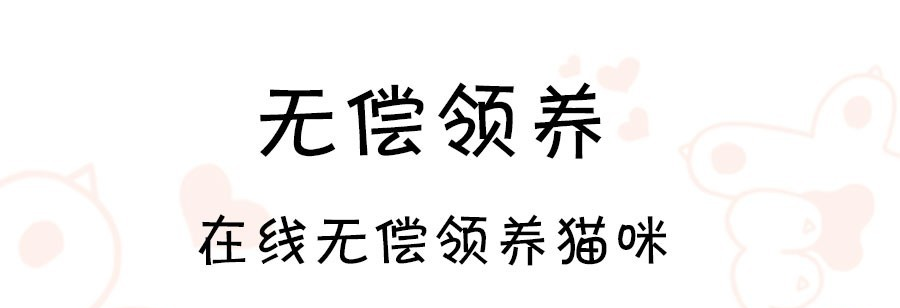 2022有哪几款软件能养小猫咪 能够养小猫咪的软件下载分享截图