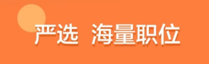 视频面试用什么软件2022 不用钱的视频面试用什么软件截图