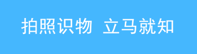 2022扫图识别菌类app下载合集 菌类识别软件有哪几款截图