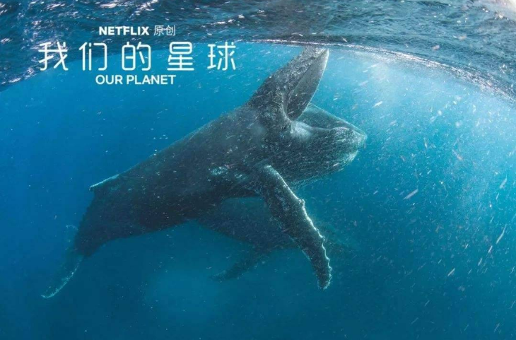 我们的星球游戏下载安装 我们的星球2022最新版本下载截图