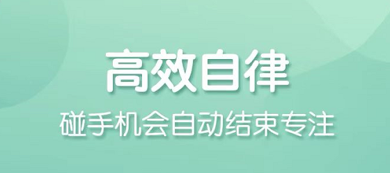 专注学习软件哪些好用2022 专注学习软件分享截图