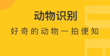 2022扫一扫识别鸟类的软件有哪几款 实用的拍照识物APP分享截图