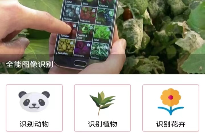 2022有没有扫一扫识别木材的软件