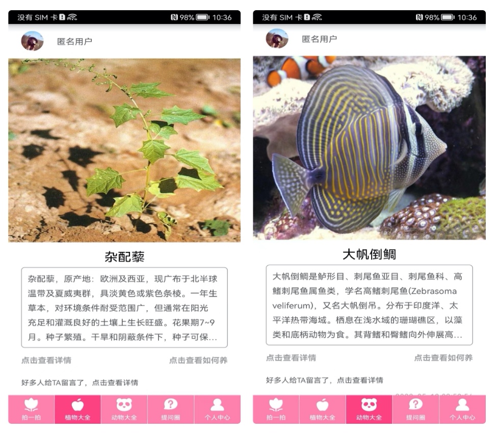 不用钱花草识别软件下载安装2022 免费的花草识别软件合辑截图
