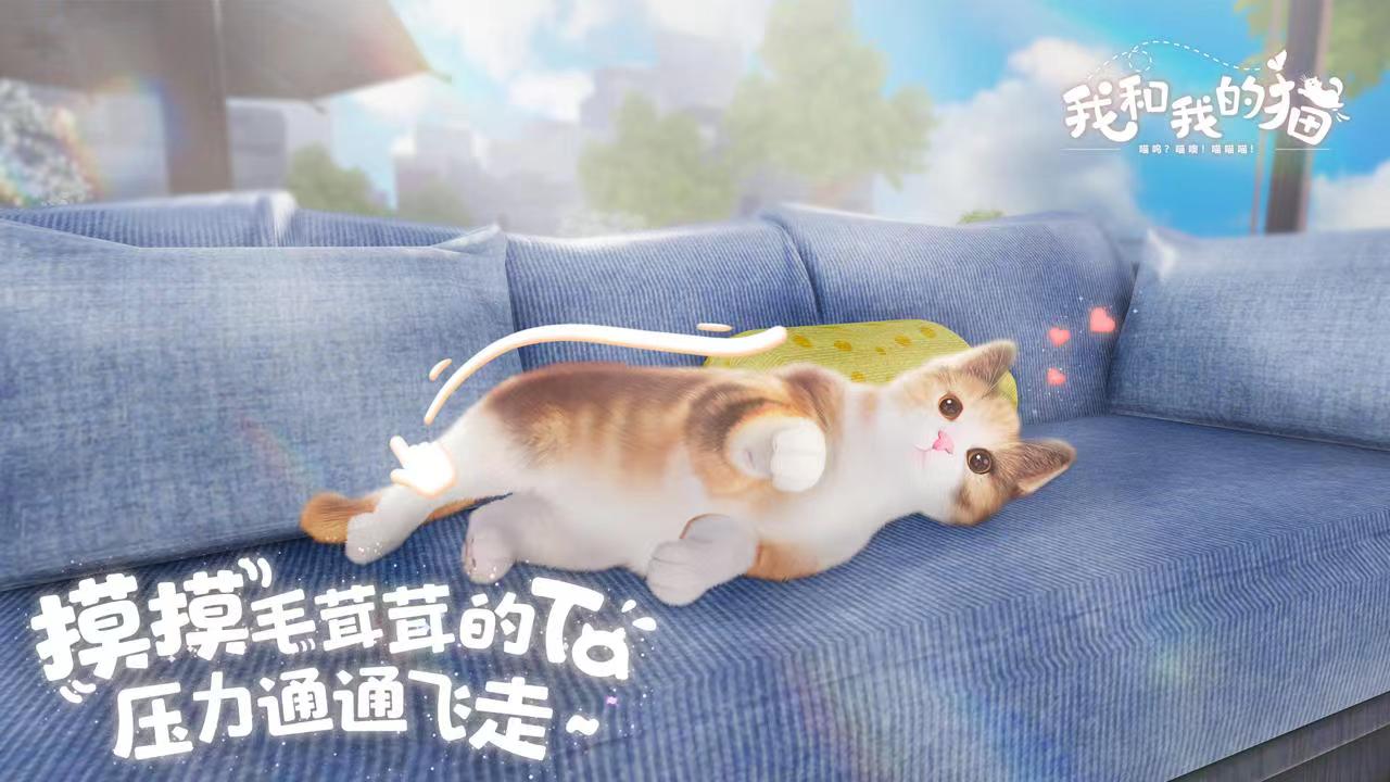 我和我的猫下载最新版本 不用钱下载渠道盘点截图