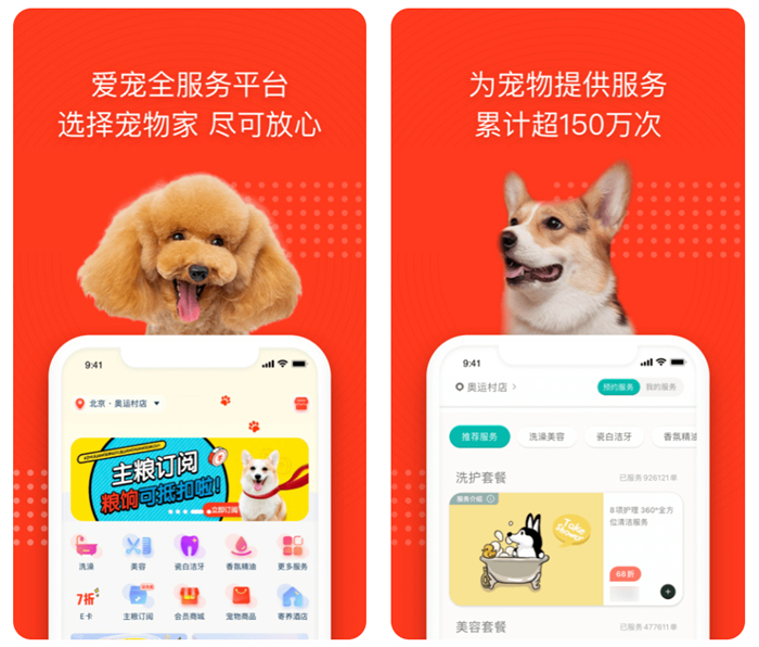 2022免费的宠物app软件哪个最好