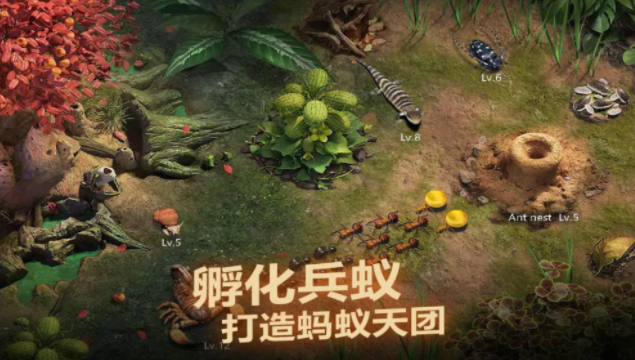 小小蚁国兵蚁搭配阵容分享 小小蚁国兵蚁应该如何搭配截图