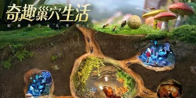 2022虫子的游戏有哪些