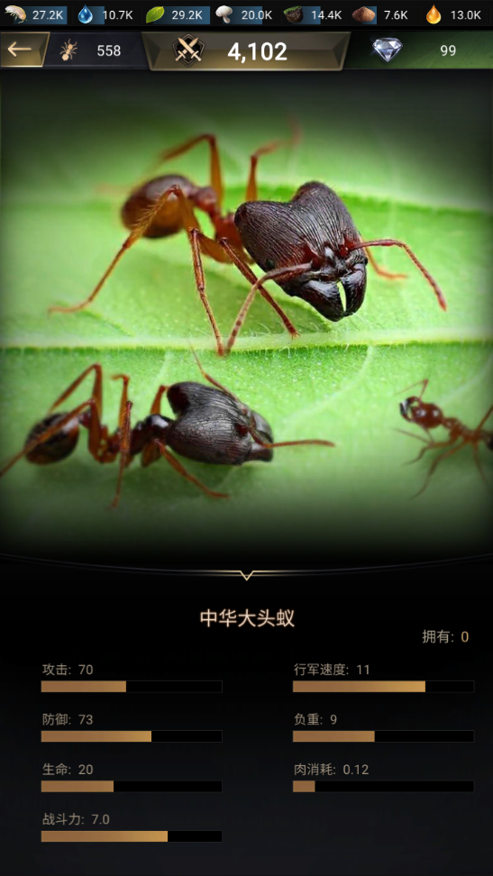 小小蚁国蚂蚁排名 介绍四大强势蚂蚁截图