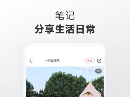 近期比较火的app有那些 手机上火爆的下载app分享截图