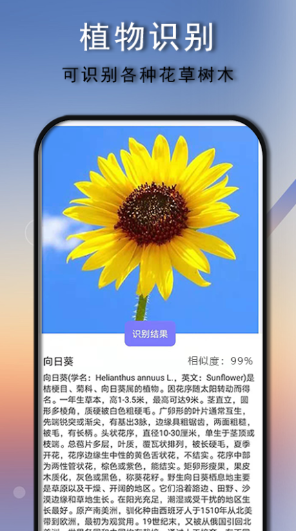 自动识别多少字的软件有哪几款 能够识别文字的app下载分享截图