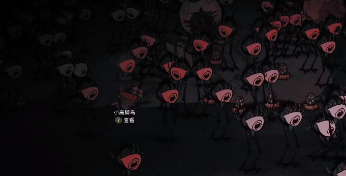 饥荒新家园高教鸟怎么打 饥荒新家园高脚鸟打法教程详解截图