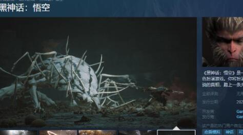 黑神话悟空steam叫什么名字 黑神话悟空steam名称推荐截图