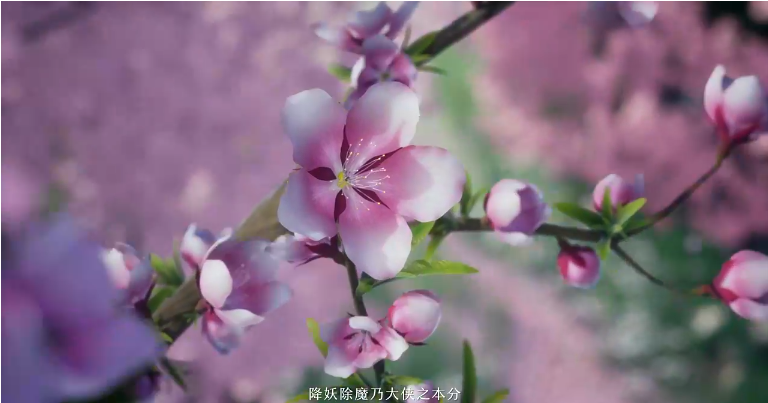 仙剑世界探索怎么玩 仙剑世界探索方法推荐截图