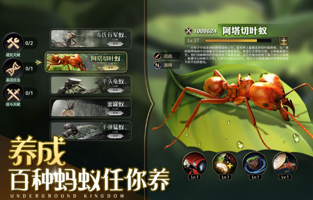 有趣的蚂蚁小游戏下载 受欢迎的蚂蚁游戏分享2023截图