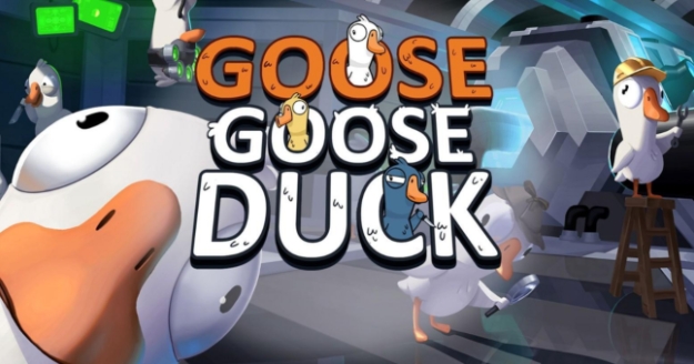 实用的电脑鹅鸭杀加速器有没有 效果好的鹅鸭杀电脑加速器下载分享截图