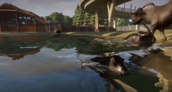 动物园之星动物很紧张想要躲藏怎么办 动物园之星动物紧张怎么解决截图