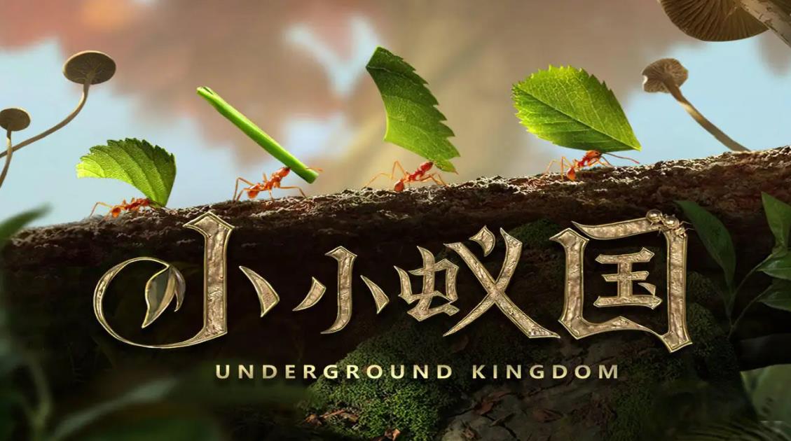 生存游戏联机版中文版下载大全