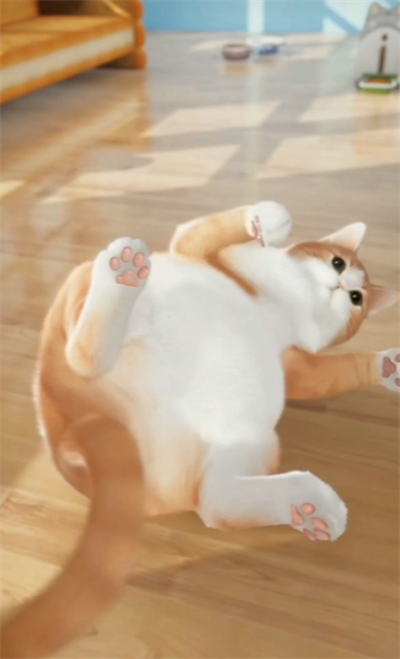 超喵星计划怎么给猫送礼物 超喵星计划送礼物玩法截图