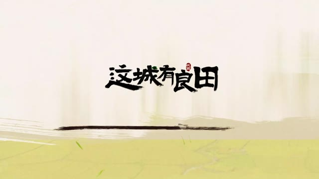 这城有良田威仪有没有用 这城有良田威仪作用指引截图