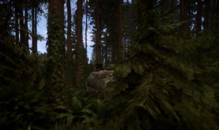 森林之子掉帧怎么解决 森林之子加速器分享截图