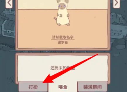 猫咪和汤可爱衣服搭配盘点 猫咪和汤怎么给猫打扮截图