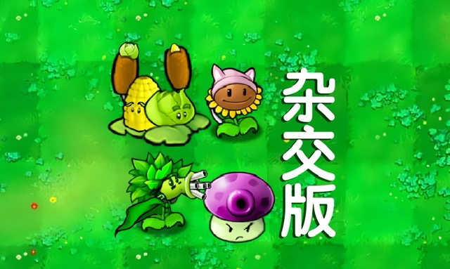 植物大战僵尸杂交版小猫向日葵怎么样 植物大战僵尸杂交版小猫向日葵教程截图