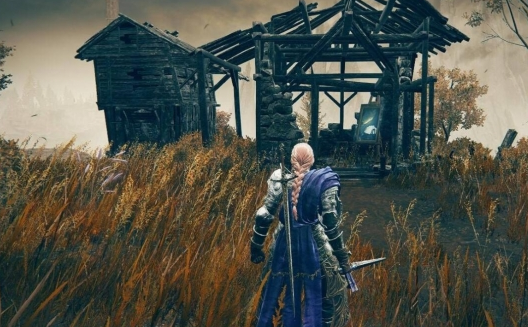 艾尔登法环黄金树之影绘画侵略在哪 黄金树之影绘画侵略位置指引截图