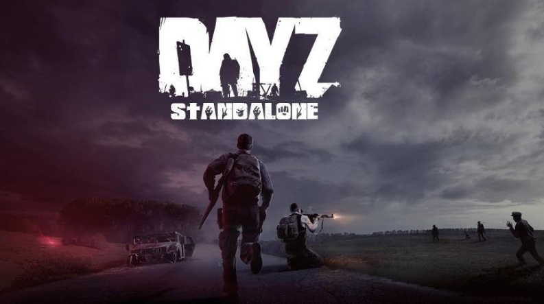 DAYZ卡顿怎么办 DAYZ加速器用什么好截图