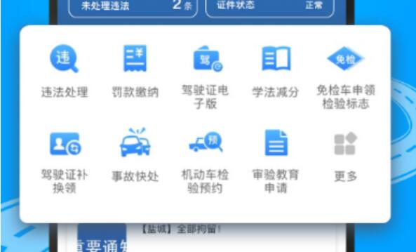 电子驾驶证app下载安装合辑 查询电子驾驶证软件介绍截图