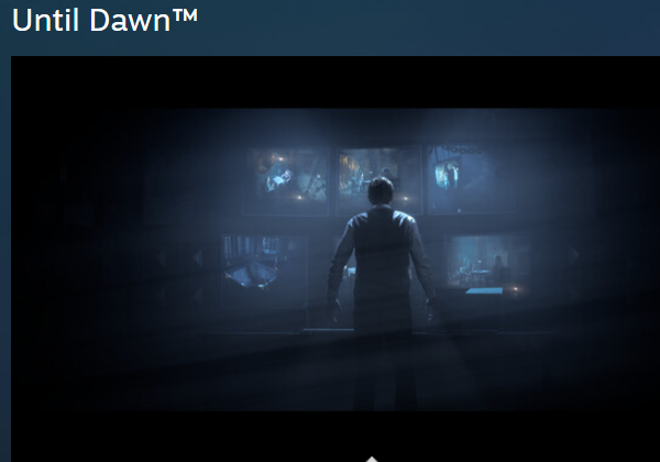 直到黎明steam叫什么名字 直到黎明steam名称推荐截图