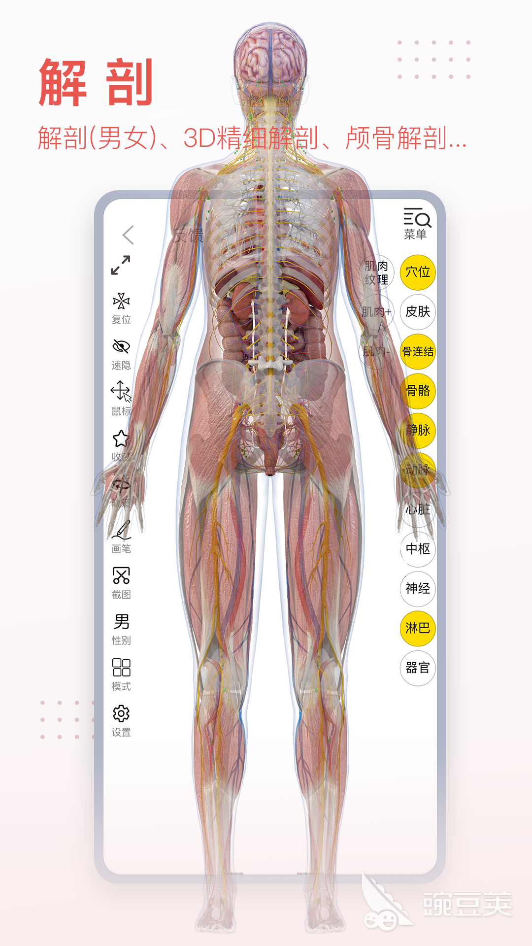 3D软件分享 3D软件下载推荐  
最实用的3D建模软件有哪几款 3D设计工具下载榜单