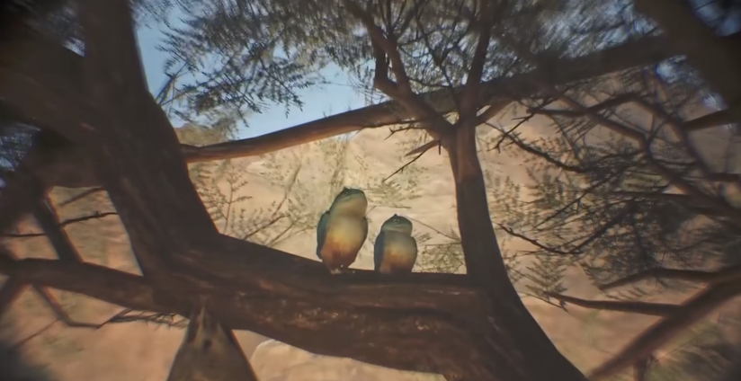 怪物猎人荒野烹饪机制有哪几款 怪物猎人荒野烹饪技巧推荐截图