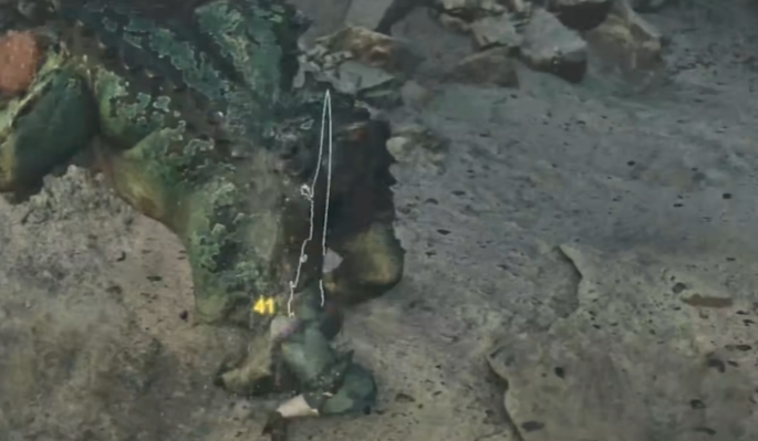 怪物猎人荒野狩猎机制什么样 怪物猎人荒野狩猎技巧盘点截图