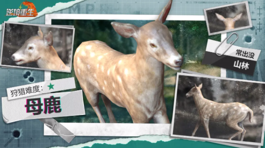 逆境重生母鹿出没位置 逆境重生母鹿作用盘点截图
