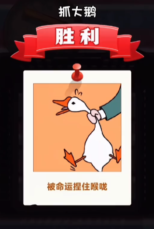 抓大鹅怎么一天抓好几次 抓大鹅的技巧教程截图