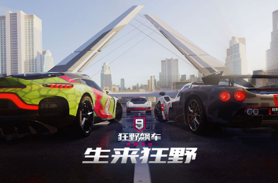 2020年最火的赛车游戏合辑 有趣的赛车游戏下载分享截图