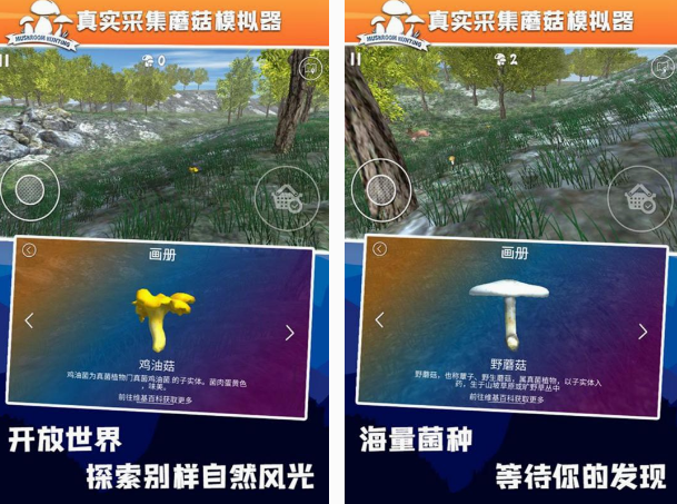 采蘑菇游戏有什么 2025必玩的采蘑菇游戏介绍截图