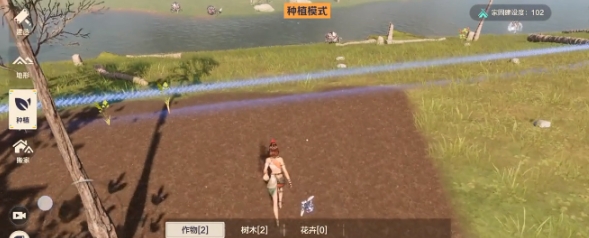 荒野起源种子种植操作指南 荒野起源如何种植
