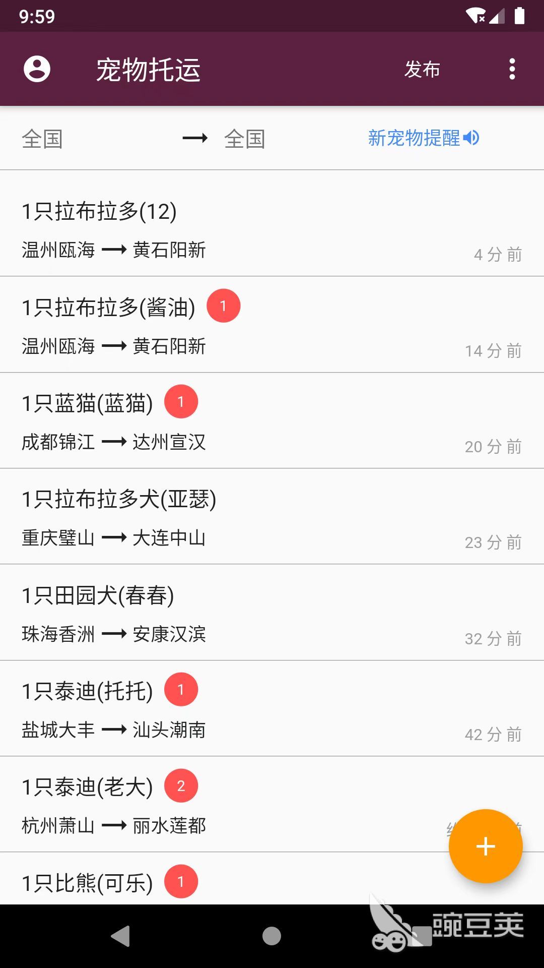 宠物托运平台App分享 安全靠谱的宠物运输软件精选