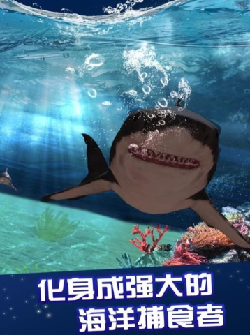 相似史前鲨鱼游戏有哪几款 2025榜单3鲨鱼游戏before_1截图