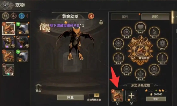 奇迹世界起源黄金幼龙怎么获得 奇迹世界起源黄金幼龙培养技巧