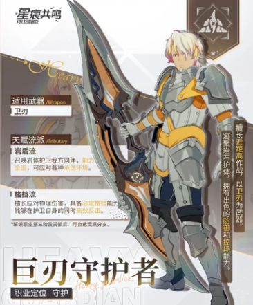 星痕共鸣格挡流怎么样 星痕共鸣格挡流强度盘点