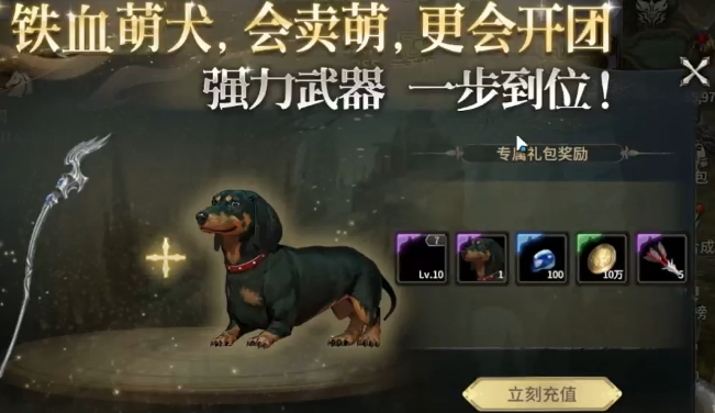 奇迹世界起源宠物有哪几款 奇迹世界起源宠物如何获取